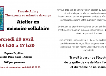 Atelier en m&eacute;moire cellulaire 