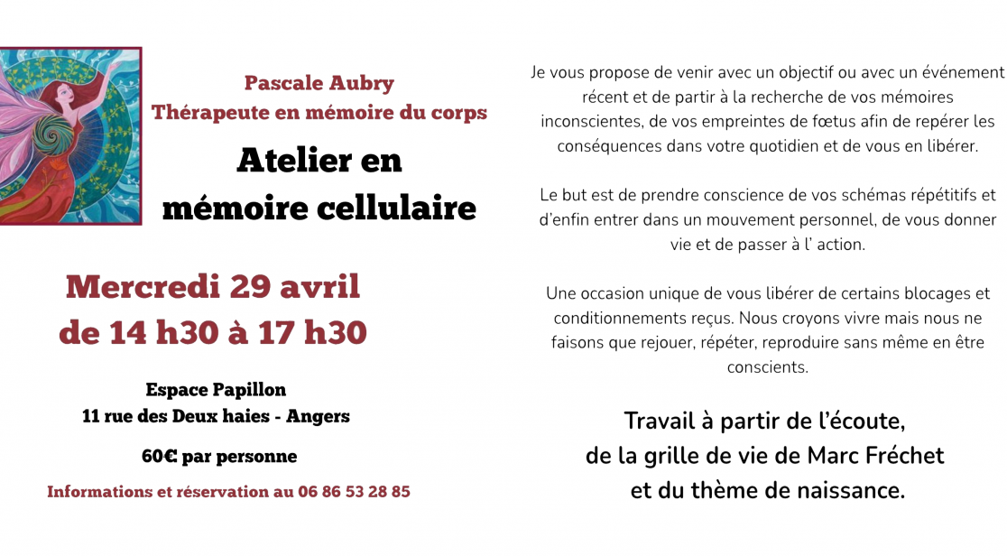 Atelier en m&eacute;moire cellulaire 