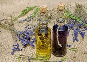 Initiations à l'aromathérapie et aux huiles essentielles